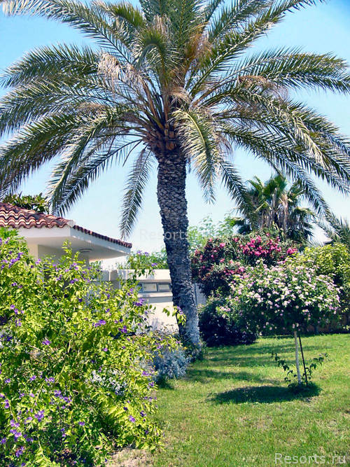Kissos Hotel 15